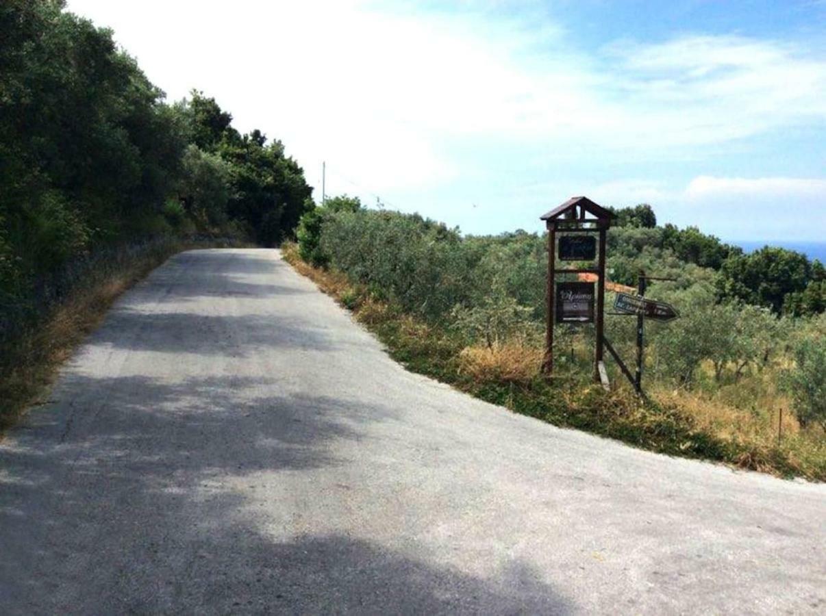 Εξοχικό Διονύσης Βίλα Χορευτό Εξωτερικό φωτογραφία