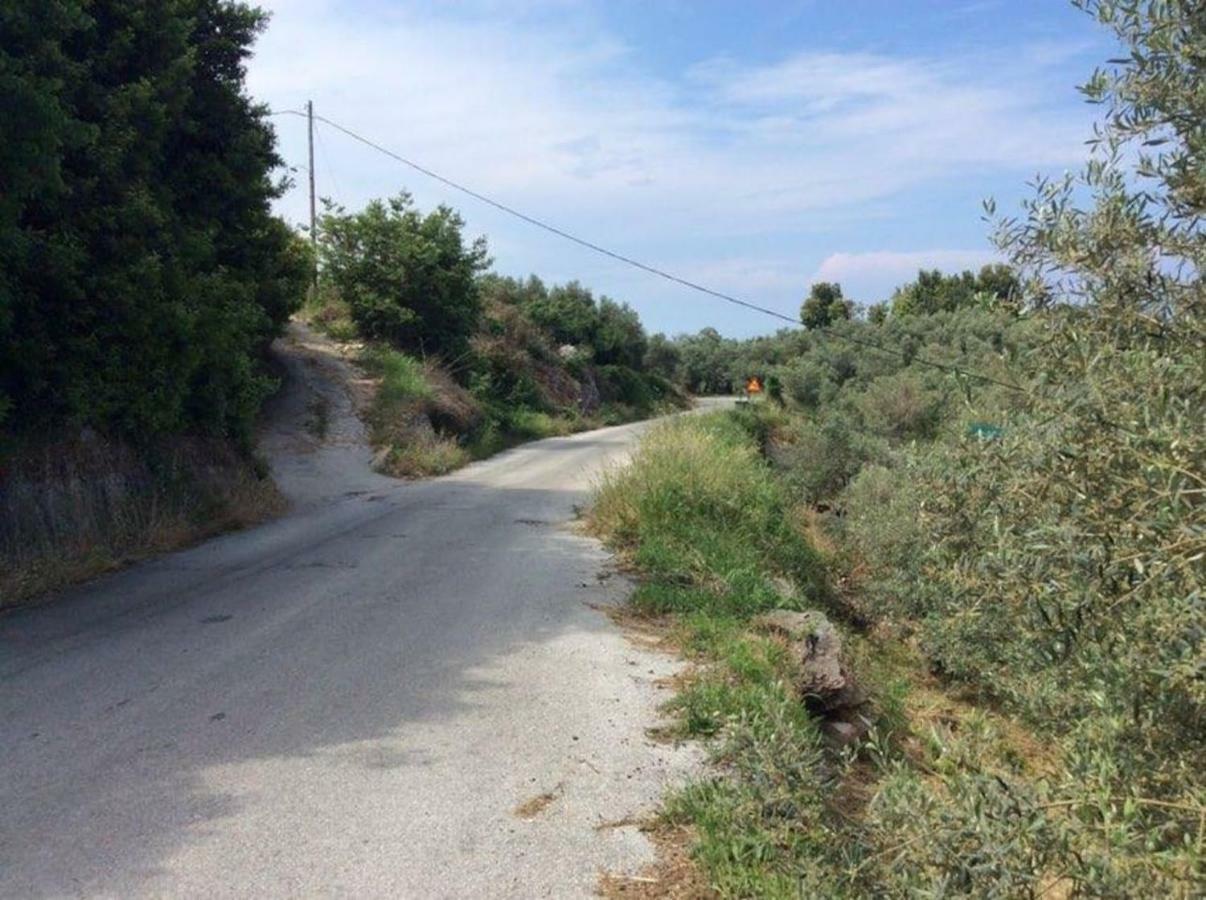 Εξοχικό Διονύσης Βίλα Χορευτό Εξωτερικό φωτογραφία