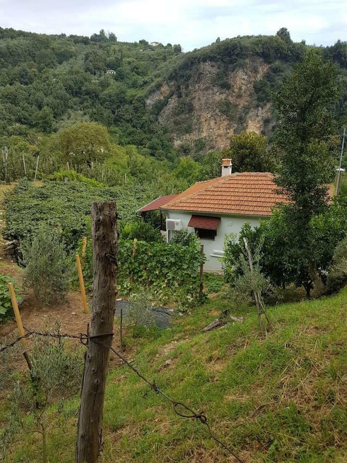 Εξοχικό Διονύσης Βίλα Χορευτό Εξωτερικό φωτογραφία