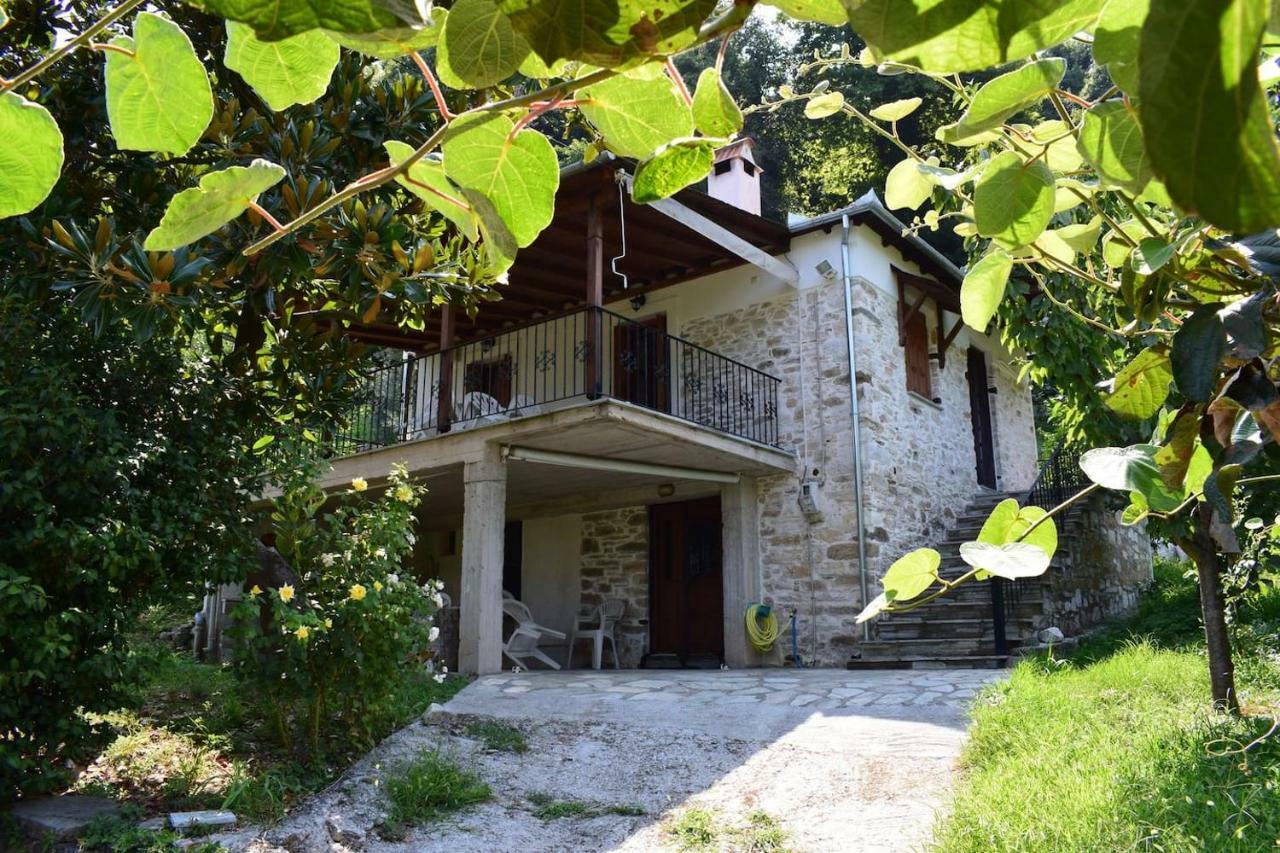 Εξοχικό Διονύσης Βίλα Χορευτό Εξωτερικό φωτογραφία