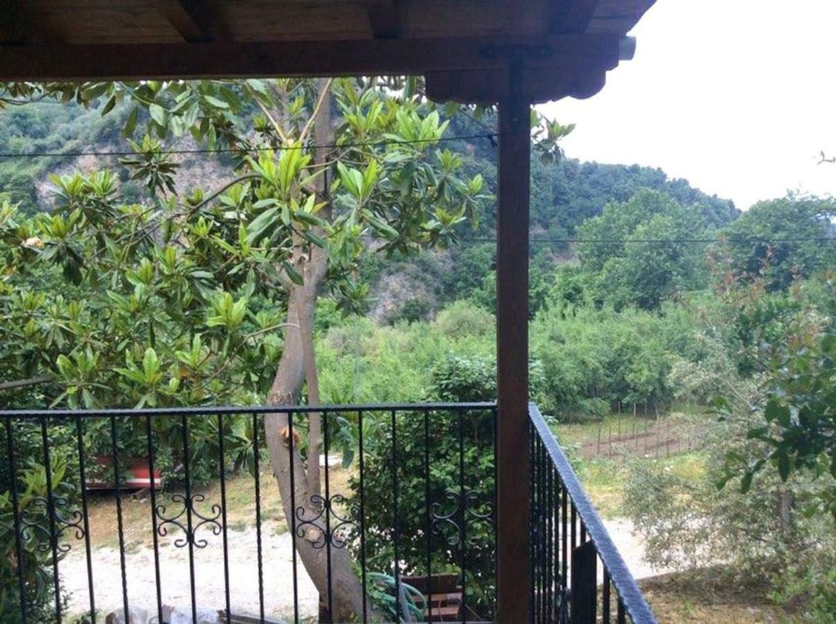 Εξοχικό Διονύσης Βίλα Χορευτό Εξωτερικό φωτογραφία